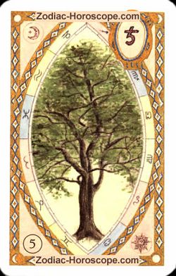 The tree, single love horoscope cancer