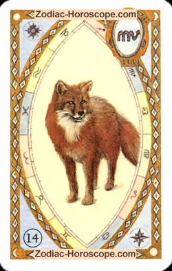 The fox, monthly Love and Health horoscope December Cancer