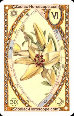 The lily, single love horoscope cancer