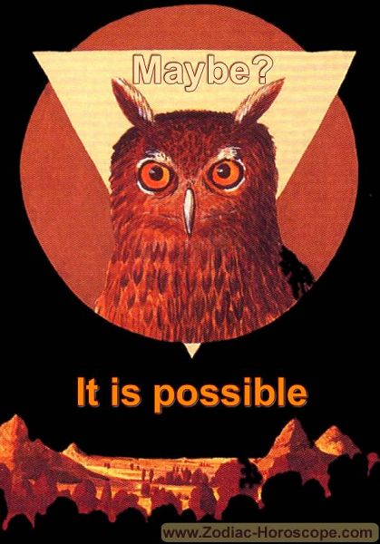 The birds answers maybe