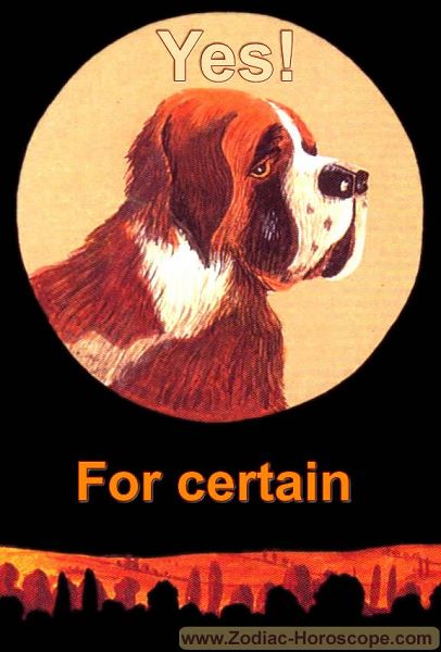The dog answers yes