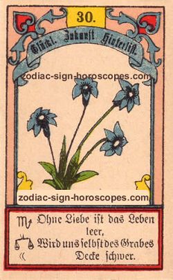 The lily, monthly Cancer horoscope November